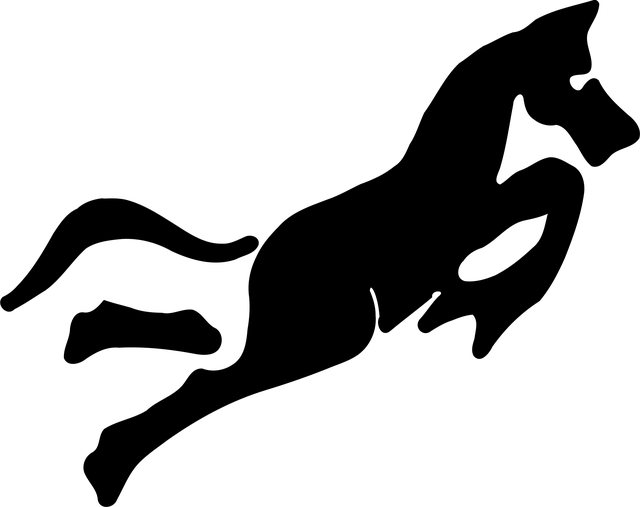 Čínsky, Kôň, Tvar, Rok, Príroda