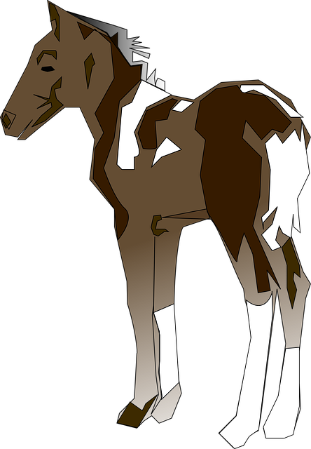 Free horse standing animal vector