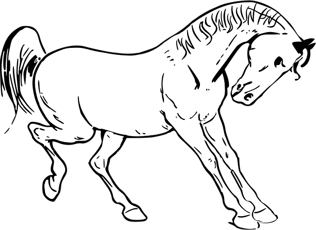 Horse Animal Wild Free Vector Graphic On Pixabay Horse Animal Wild Free Vector Graphic On Pixabay