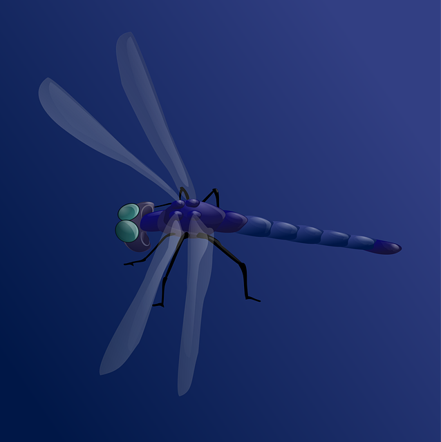 Dragonfly Insect Darning Needle - Free vector graphic on Pixabay