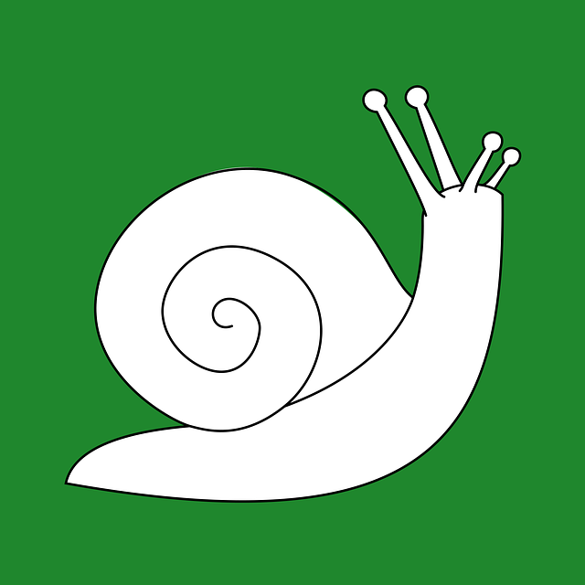 Download free HD stock image of Snail Gastropod Free snail gastropod univalve illustration