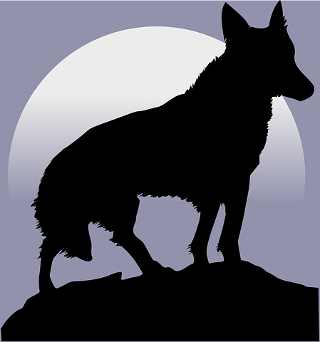 Werewolf 人狼に関する60以上の無料イラスト