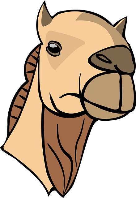 Free camel animal mammal vector