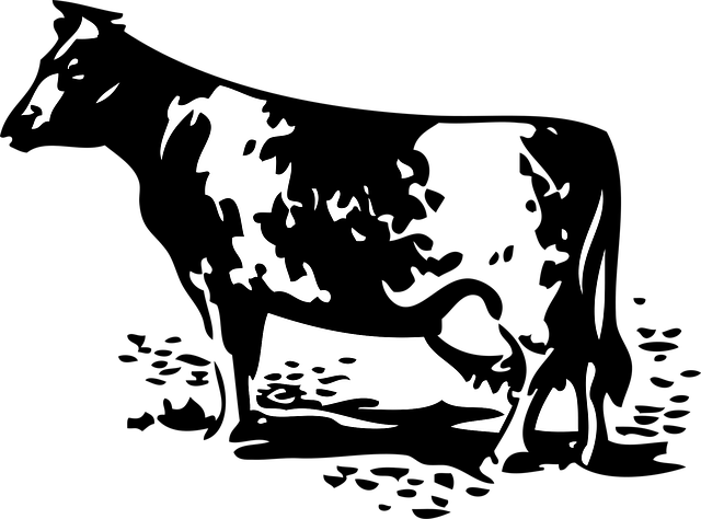 Free cow animal dairy vector
