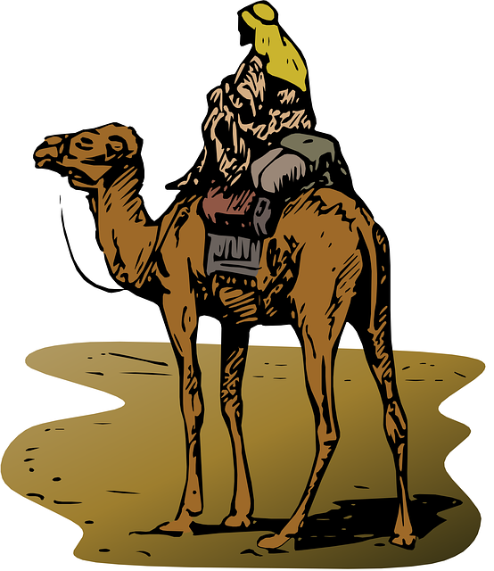 Free camel sand animal vector