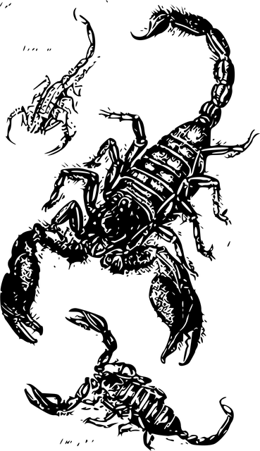 Free scorpions three poison vector