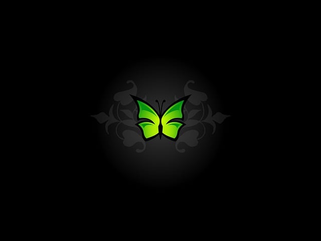 Free butterfly insect design vector