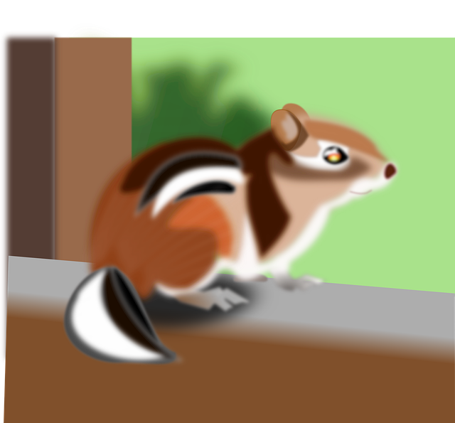 Free chipmunk animal mammal vector