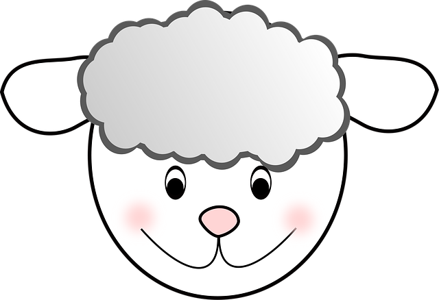 Free lamb sheep wool illustration