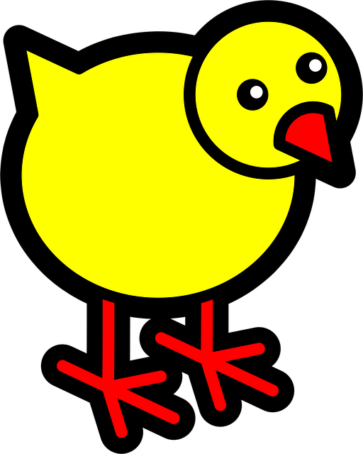 Free baby yellow chicken vector