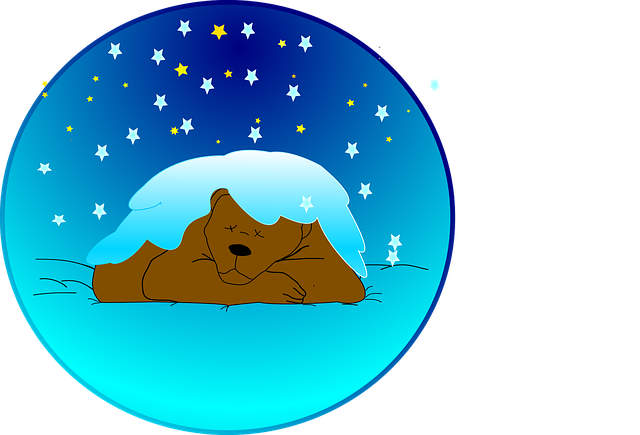 Free bear sleeping night sky vector