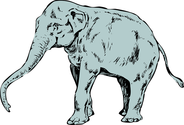 Free elephant animal mammal illustration