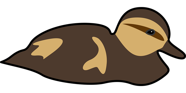 Free duck duckling nature illustration