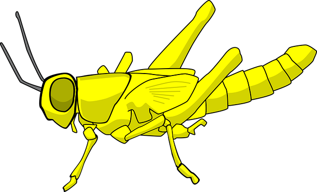 Langostas, Parásito, Insecto