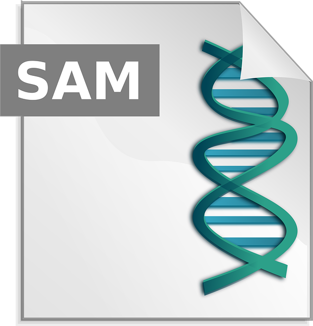 Free sam alignment sequencing vector