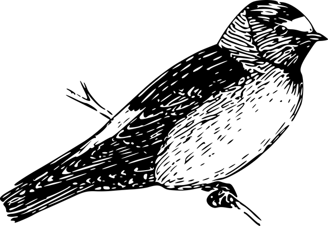 Free bird branch wings vector