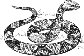 Quetzalcoatl Serpiente Deidad Imagen Gratis En Pixabay