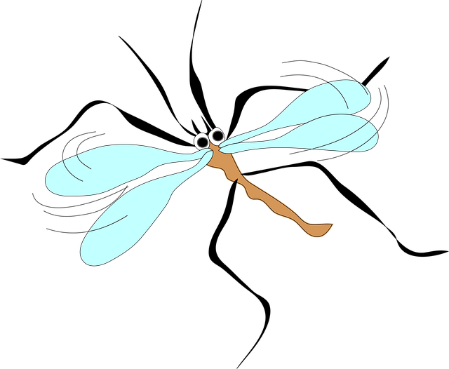 Free mosquito wings long illustration