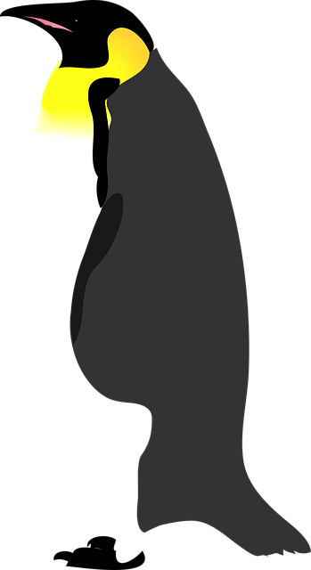 Free penguin bird snow vector