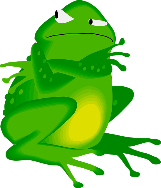 Free frog face amphibian illustration