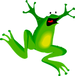 frog, face, amphibian