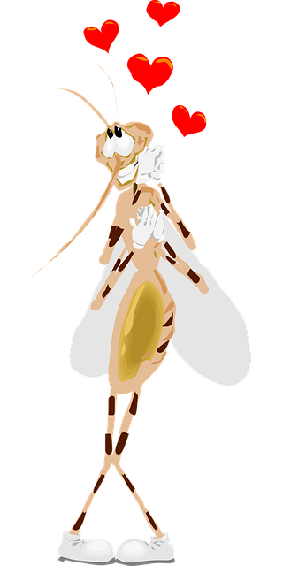 Free mosquito happy love illustration