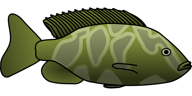 Free fish nature tropical vector