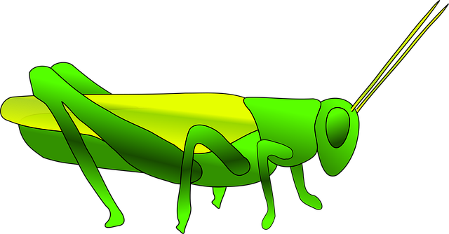 Free grass hopper green vector