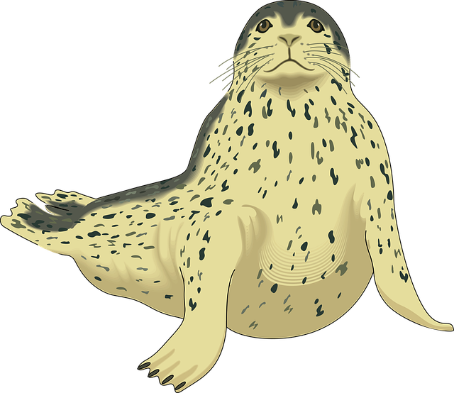 Free seal gray cream vector