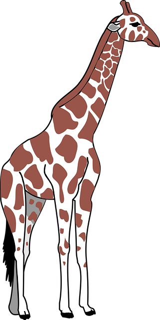 Free giraffe nature brown vector