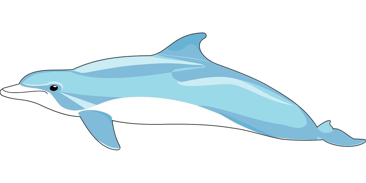Download Dolphin, Mammal, Fins. Royalty-Free Vector Graphic - Pixabay
