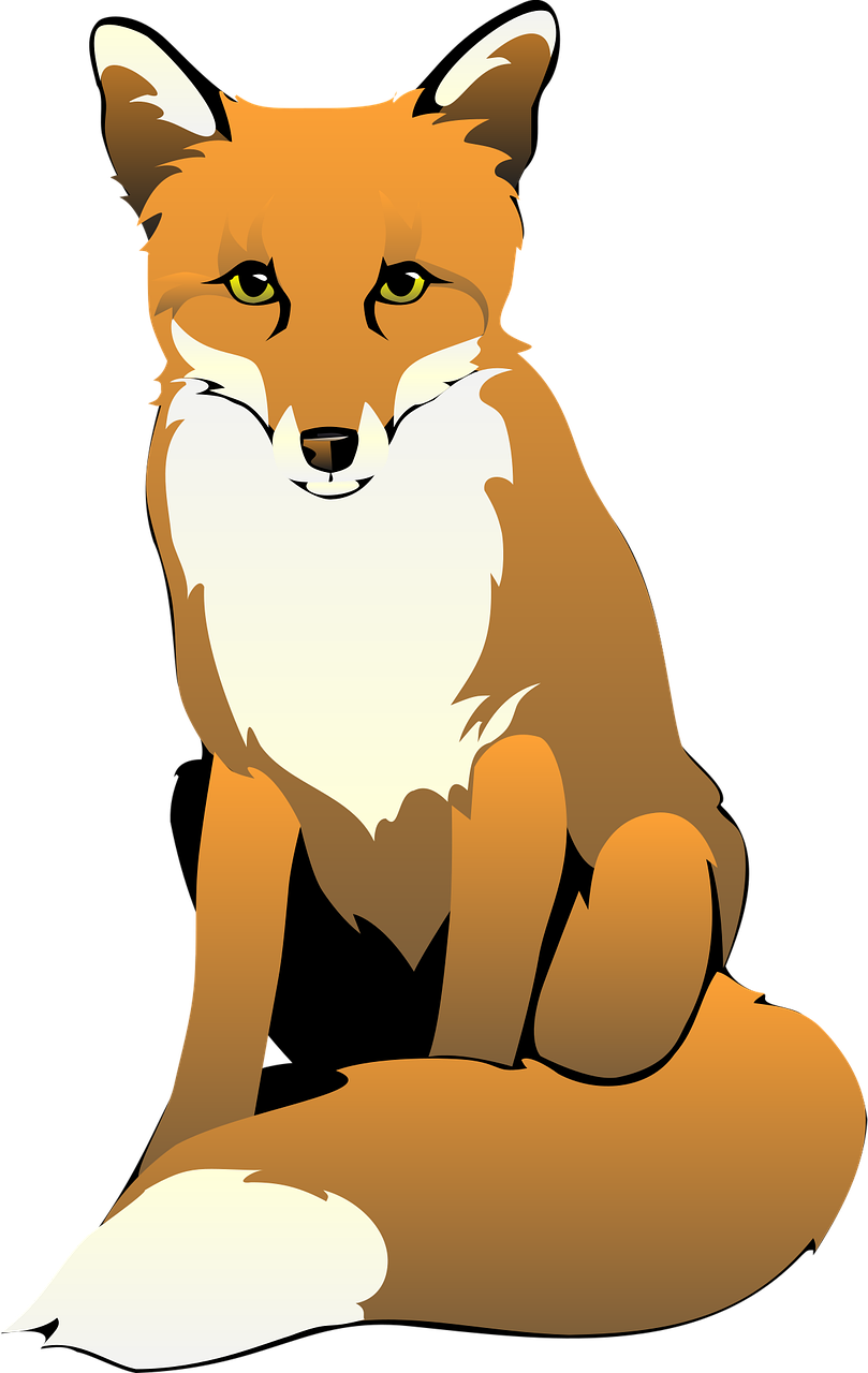 Fox Illustration Background