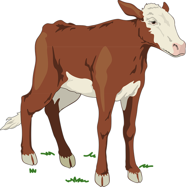 Free cow animal farm vector