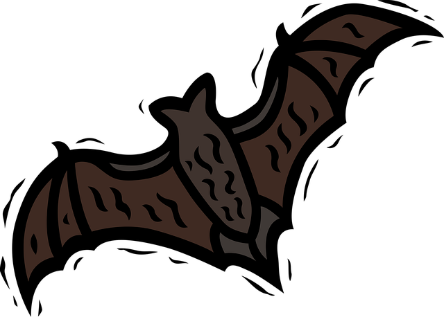 Free bat spread wings vector