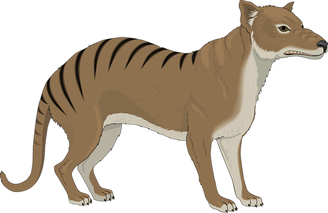 Free angry nature stripes vector
