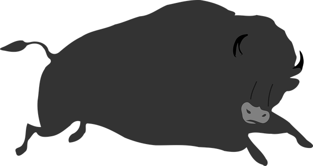 Búfalo, Olhos, Ampla, Corpo, Pulando