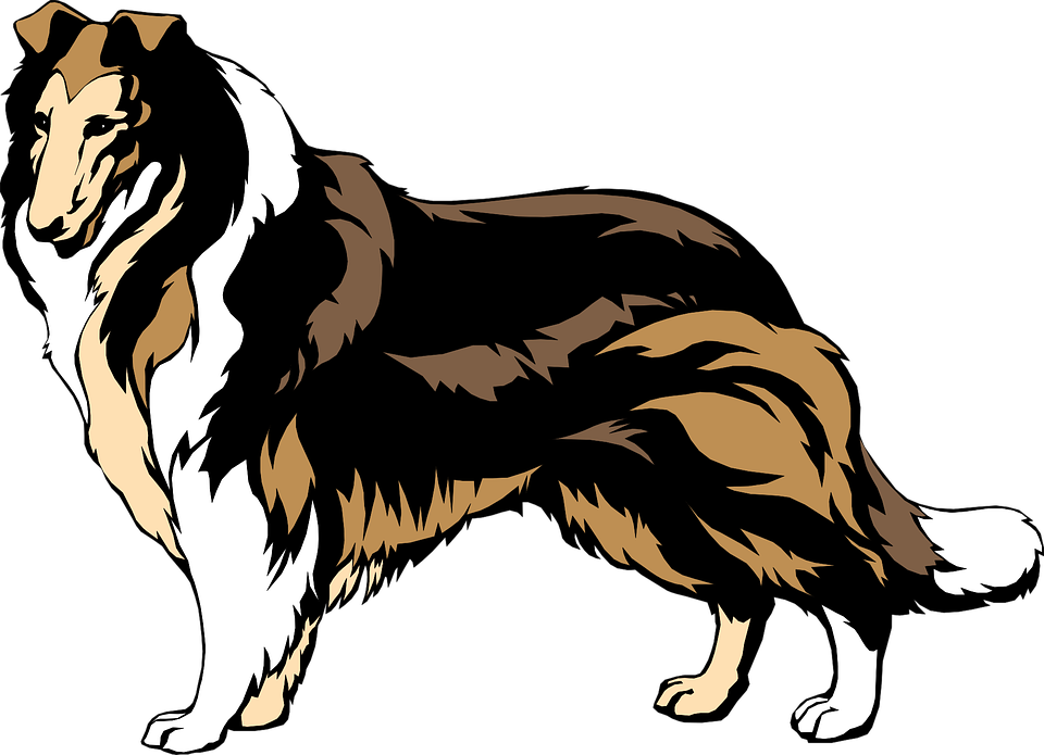 Hitam Brown Anjing Hewan Gambar Vektor Gratis Di Pixabay