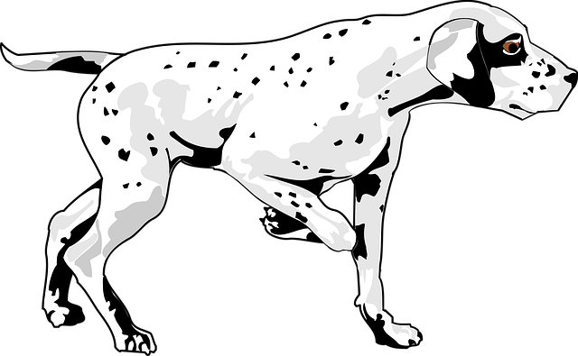 Free dog pet nature vector