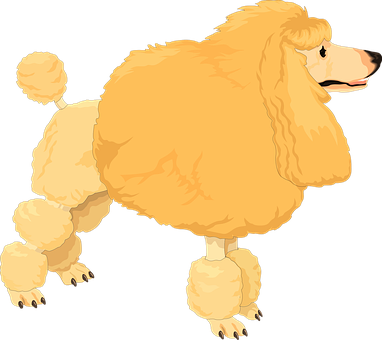500以上の無料プードル 犬画像 Pixabay