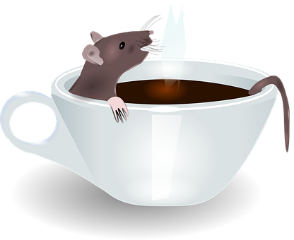 Download free HD stock image of Cup Rat Free cup rat coffee vector