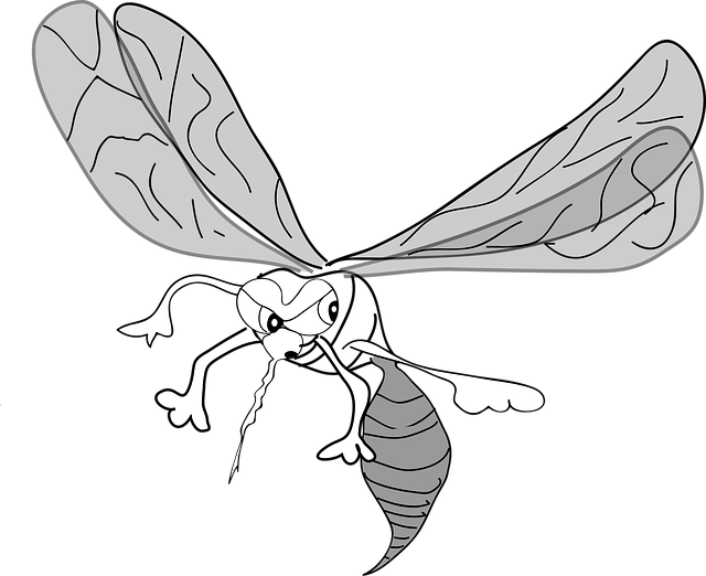 Free mosquito angry insect vector