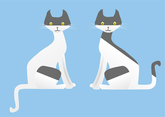 Free cats nature animals illustration