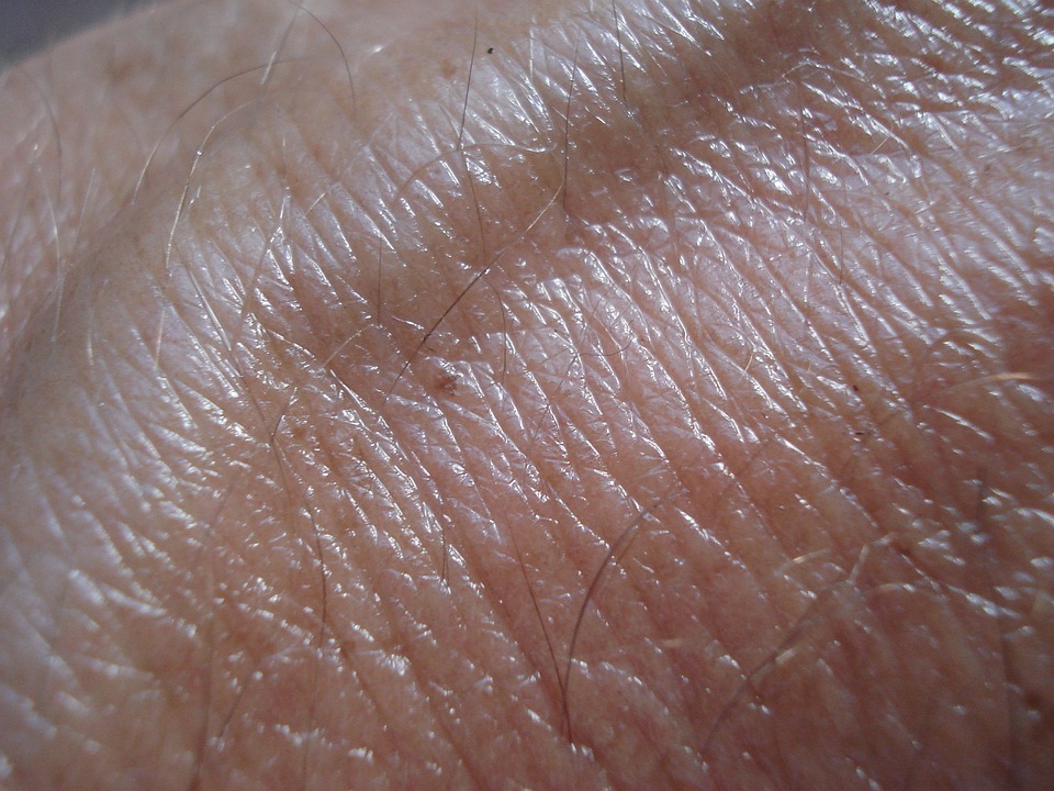 Revolutionizing Cancer Treatment: Wearable Organic X-Ray Sensors for Safer Radiotherapy