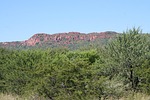 plateau, scrub, brushwood