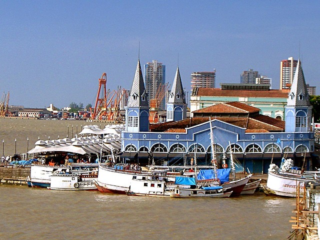 Free Fish Market See-The-Weight photo and picture