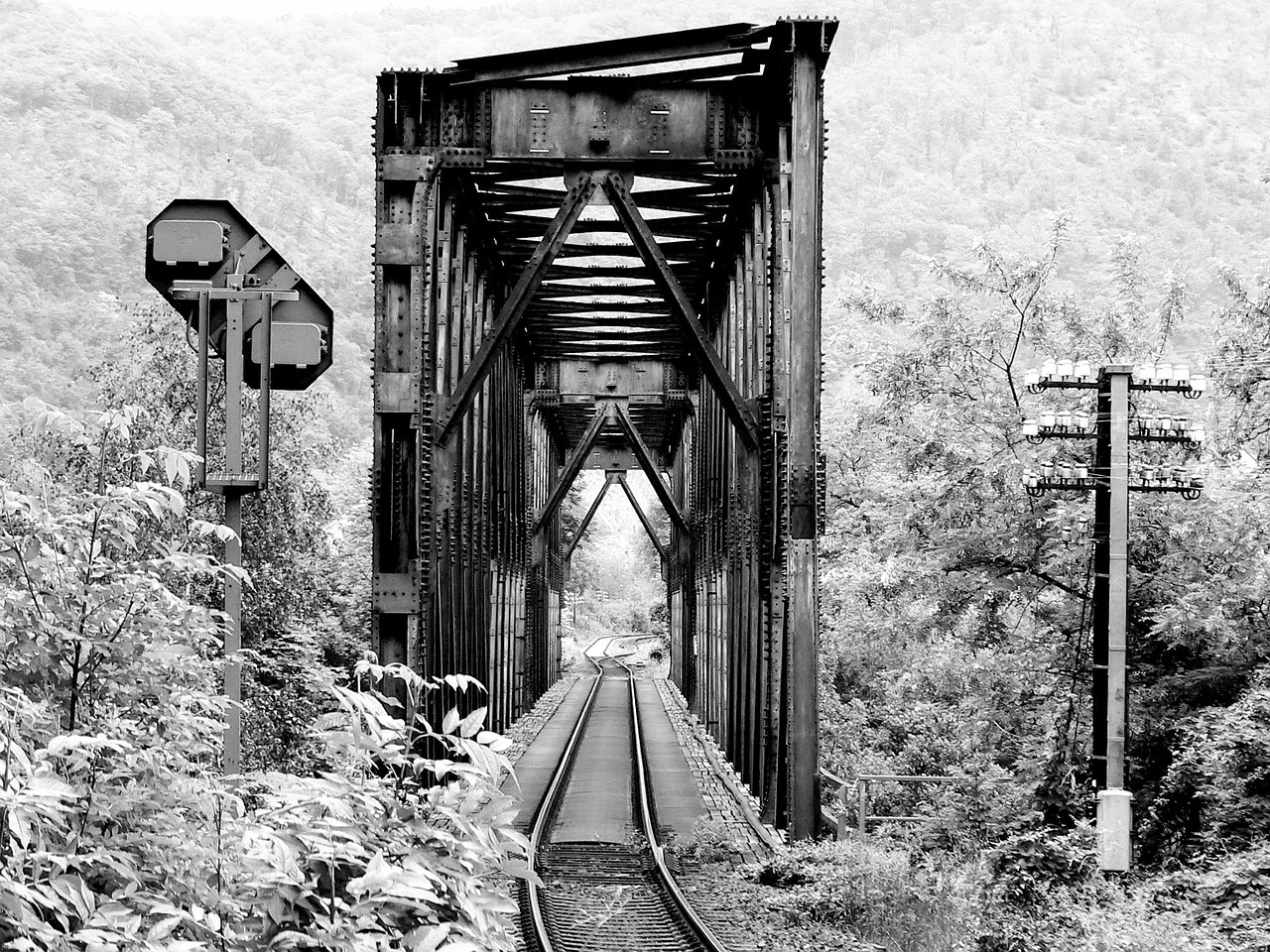 Plus De 20 000 Photos Gratuites De Pont Et De Nature Pixabay