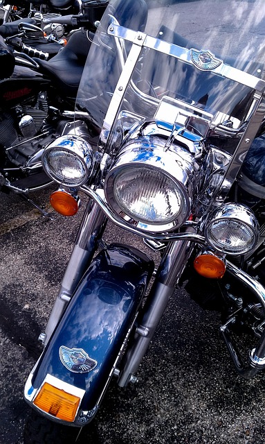 Free Motorcycle Harley photo and picture
