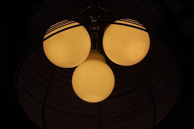 Free Light Light Bulbs photo and picture