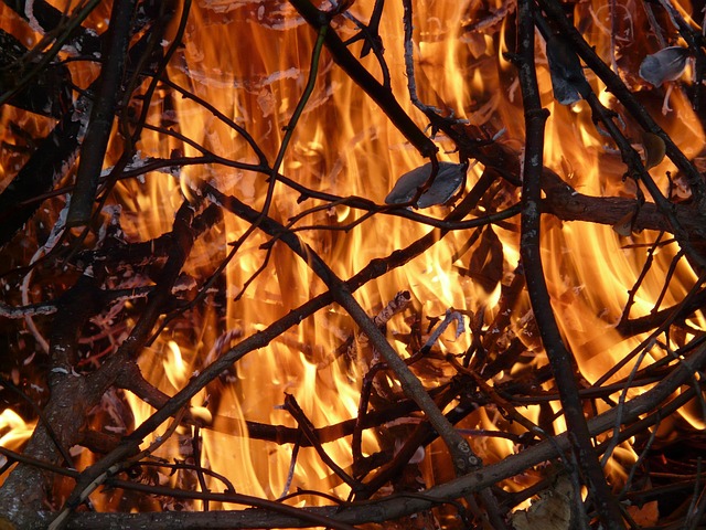 Free Fire Flames photo and picture