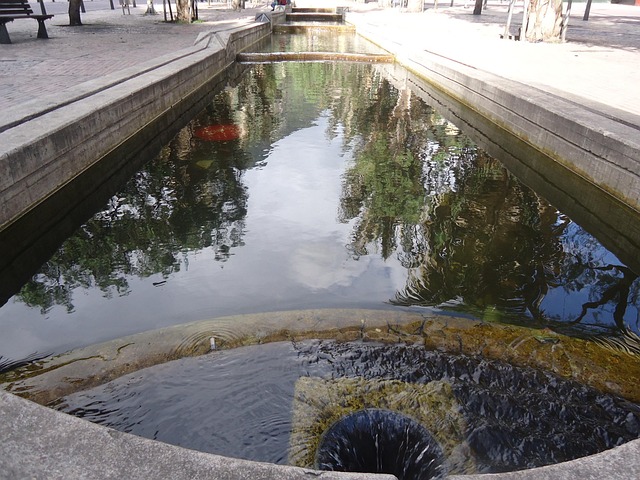 Free Bogota Water photo and picture